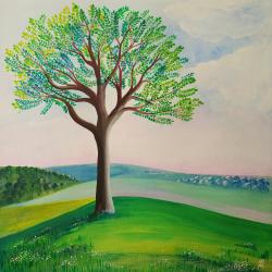 Calme par mai phan van